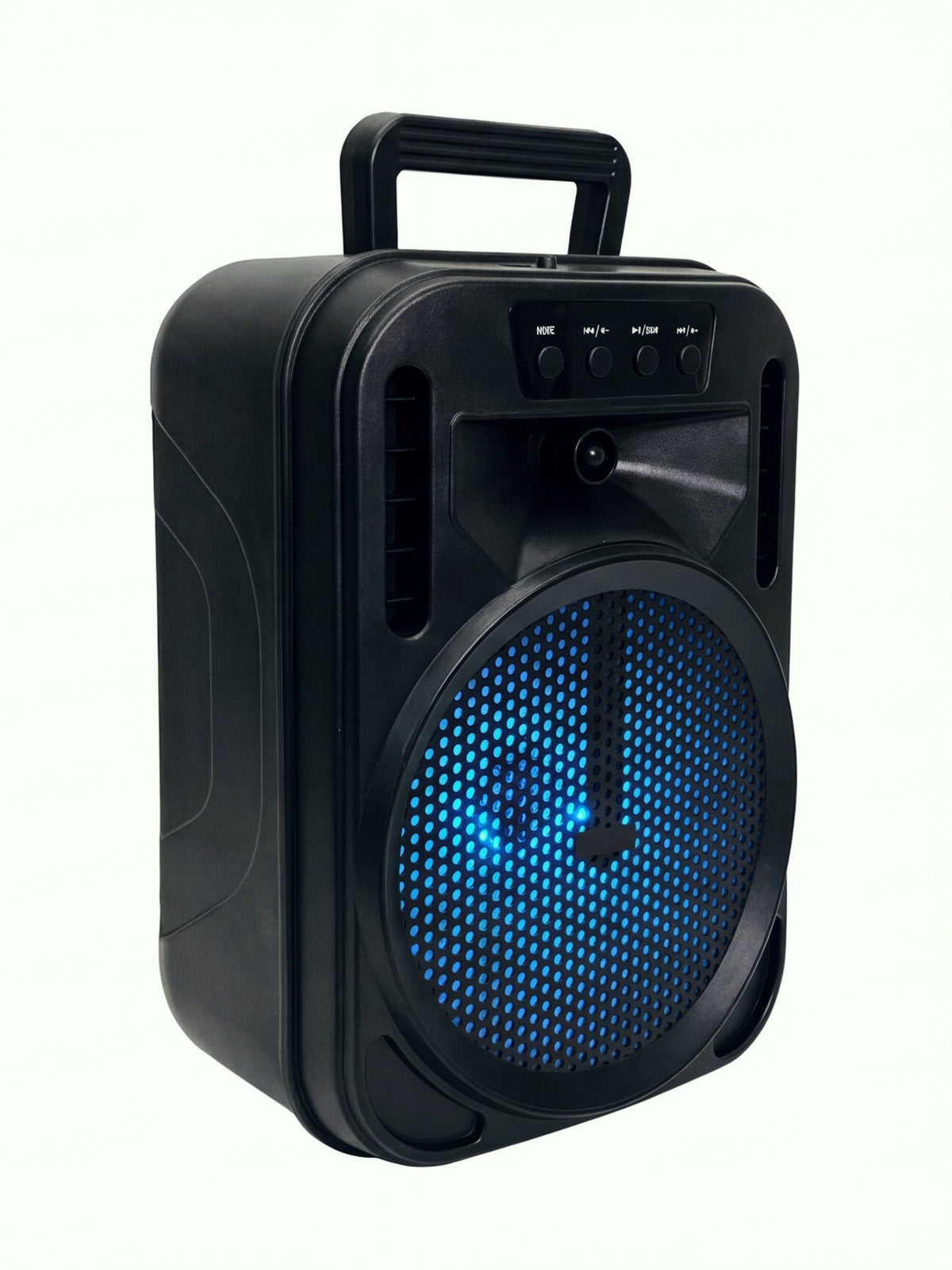 Portable 6.5-Inch Bluetooth & FM Work Speaker